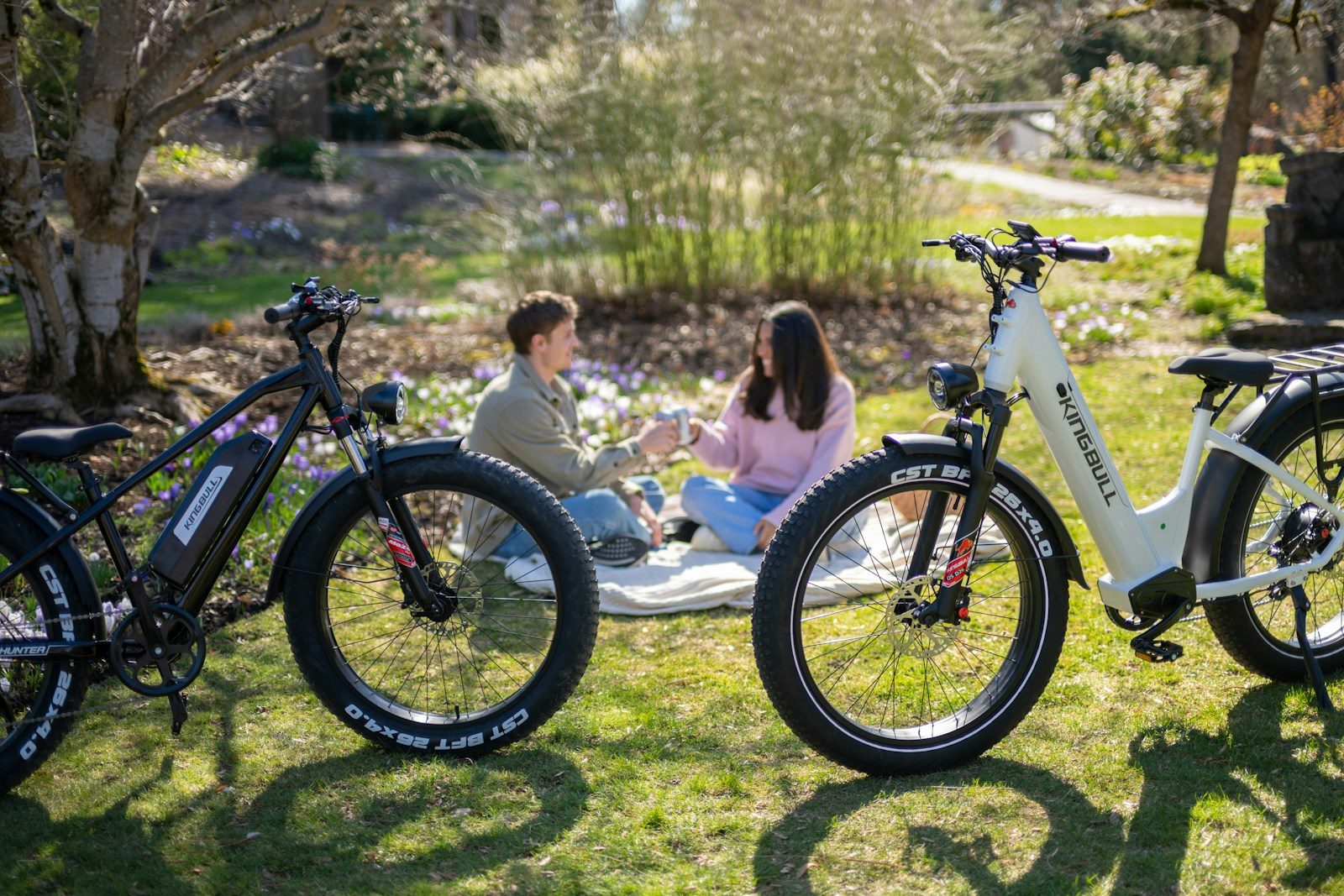 Couple enjoying a picnic with electric bikes